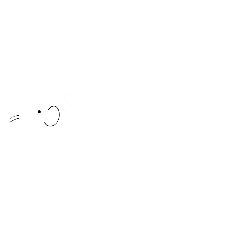 YICFF